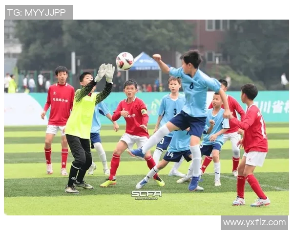 四川足球的崛起与发展探索如何推动地方体育文化的全面提升与影响